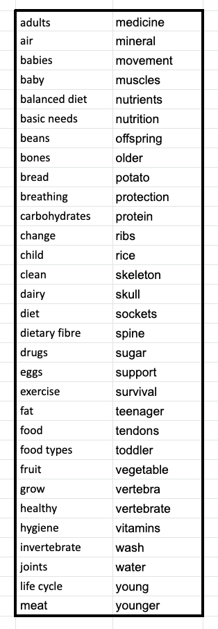 Animals and Humans - Vocabulary word list