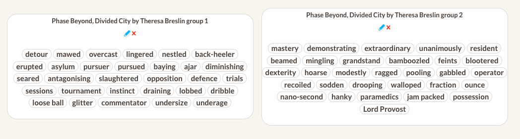 Divided City by Theresa Breslin - Vocabulary