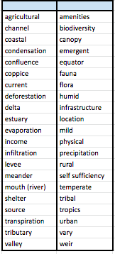 Townhill Junior School Y5 Autumn word list
