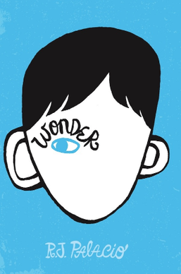 Wonder - Vocabulary