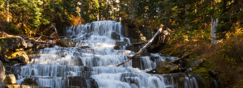 Let it Flow: Time, Practice and For the Love of It